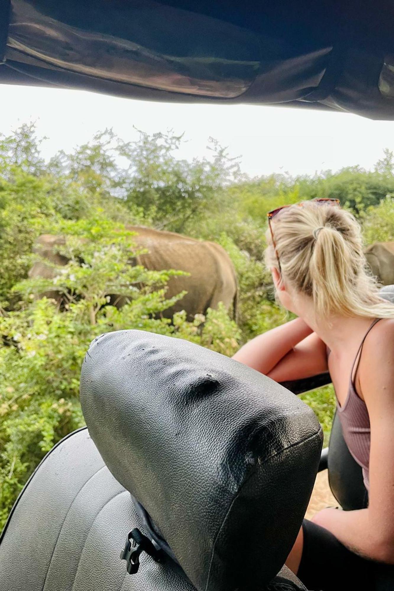 ホテル Green View Safari Paradise ウダワラウェ エクステリア 写真