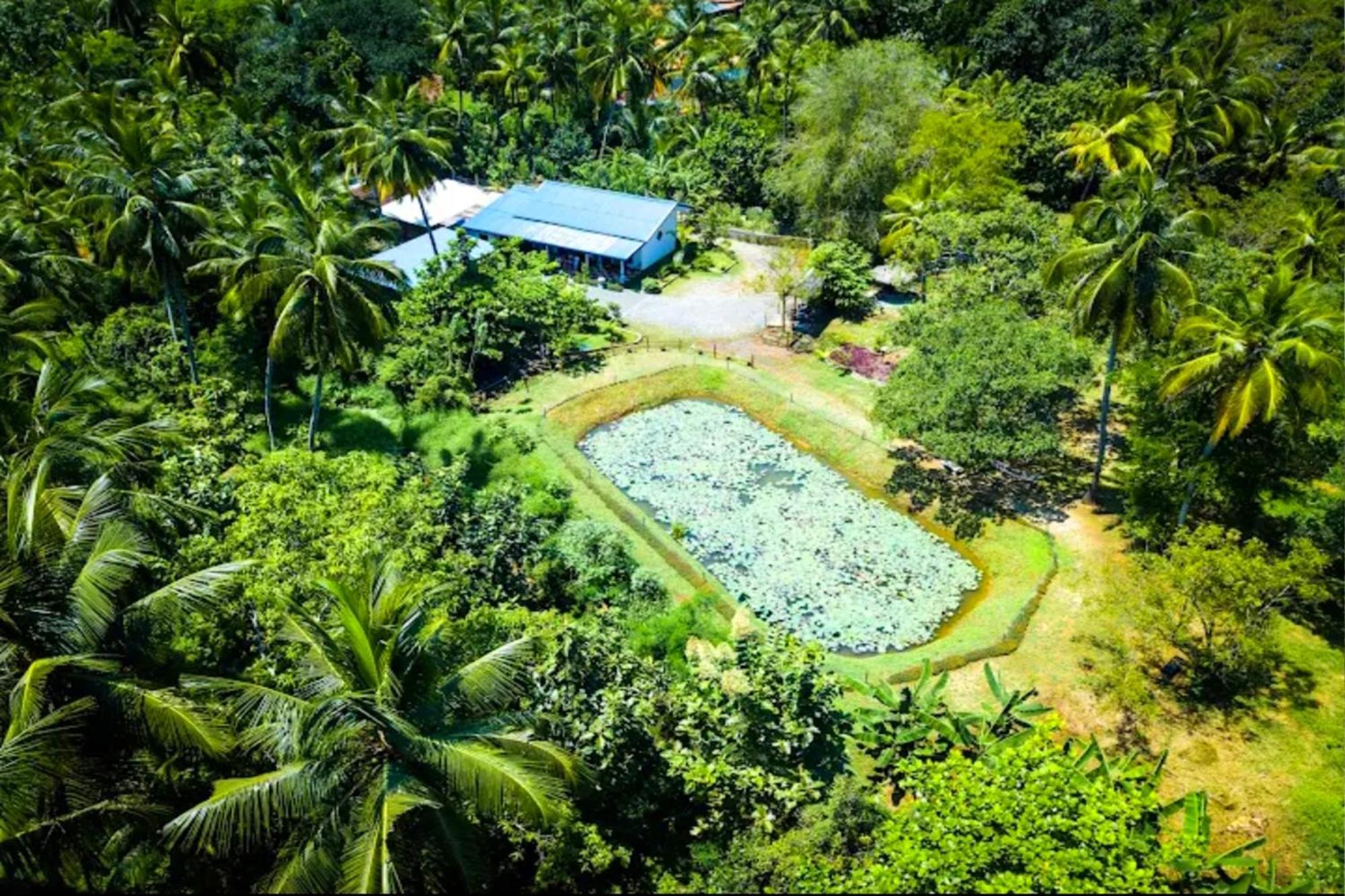 ホテル Green View Safari Paradise ウダワラウェ エクステリア 写真